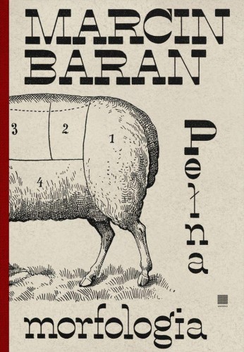 Pełna morfologia, Marcin Baran