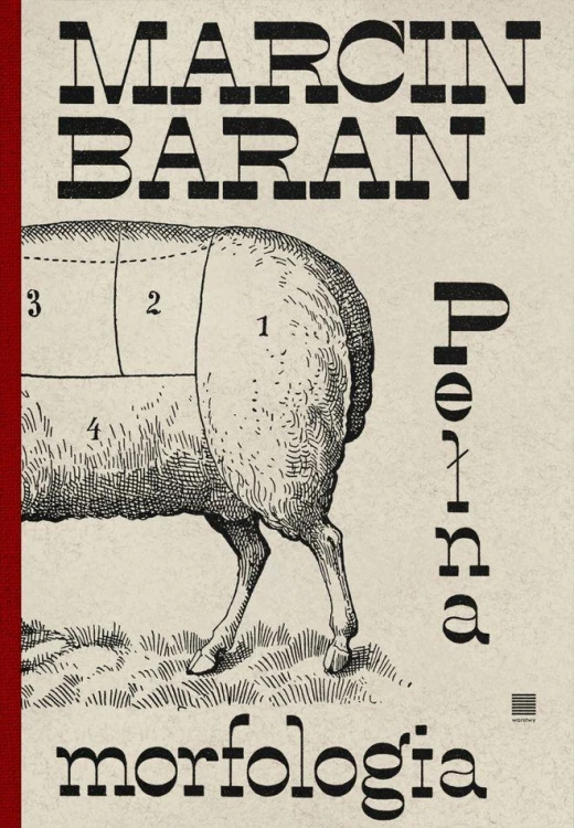 Pełna morfologia, Marcin Baran
