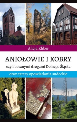 Aniołowie i kobry, Alicja Kliber
